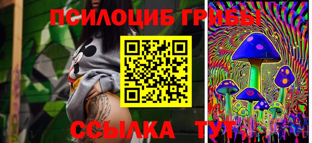 наркотики  Вход с VPN  Троицк  Галлюциногенные грибы Psilocybine cubensis 